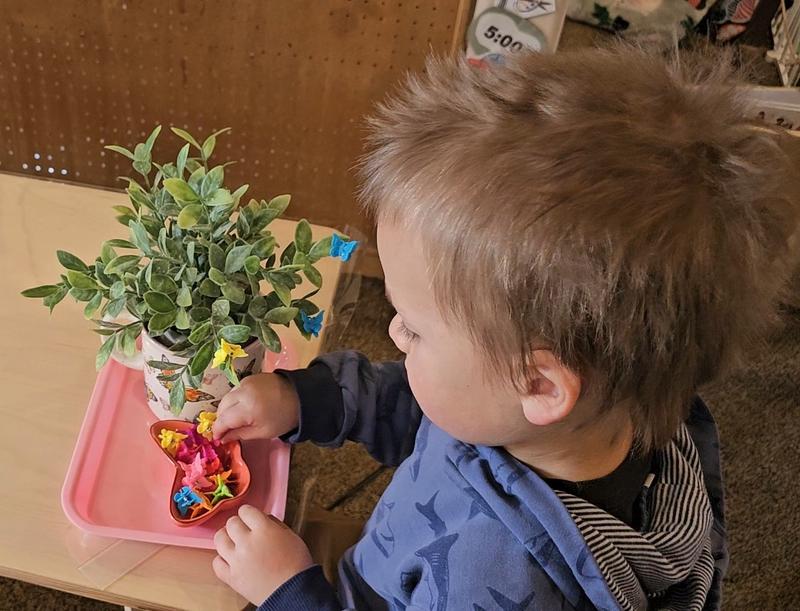 Photo of Stepping Stones In Kamas - Kamas, UT