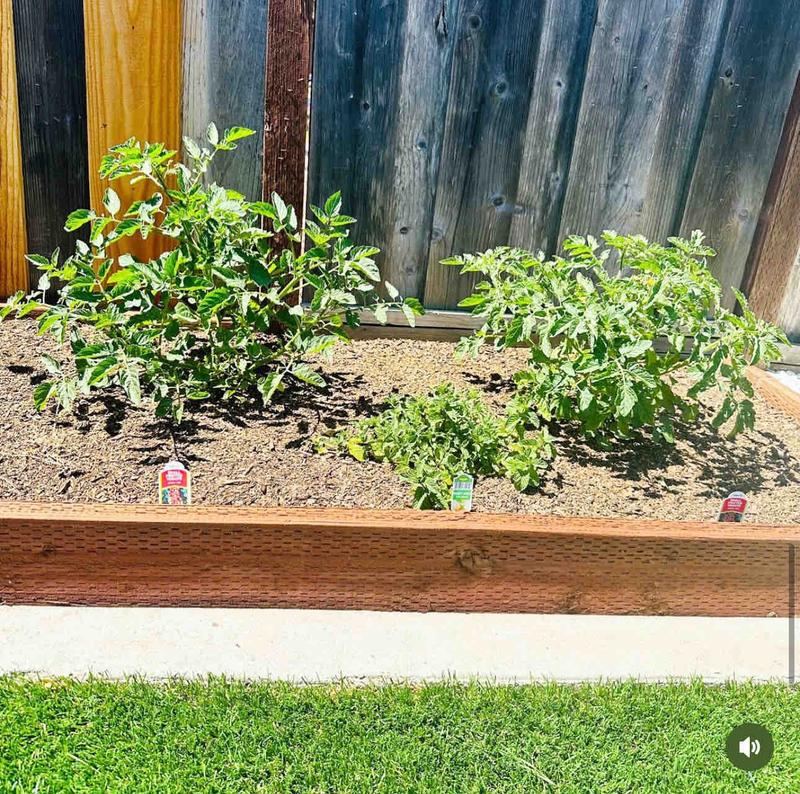 Photo of Glow Kids Daycare - San Bruno, CA