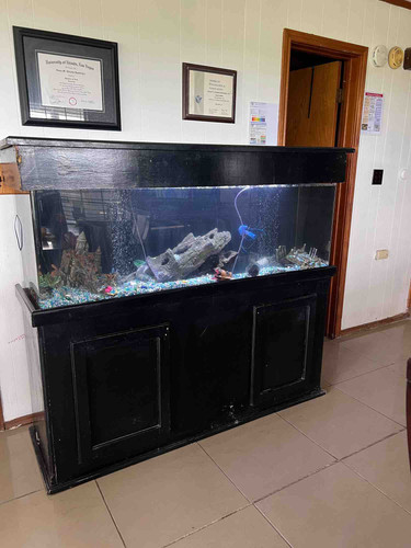 Photo of Margarita’s Little Farmers Day Care - Wolfe City, TX