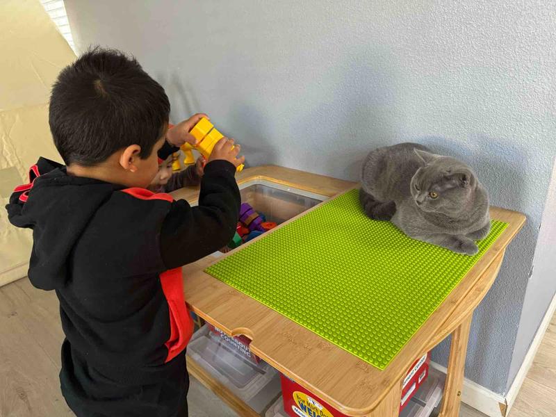 Photo of Nani&rsquo;s Childcare - Hercules, CA