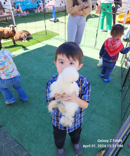 Photo of Melkonyan Family Child Care Daycare - Winnetka, CA