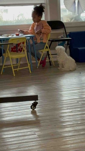 Photo of Algena Lomax DBA ICare Fundamental FCC Daycare - Cleveland, OH