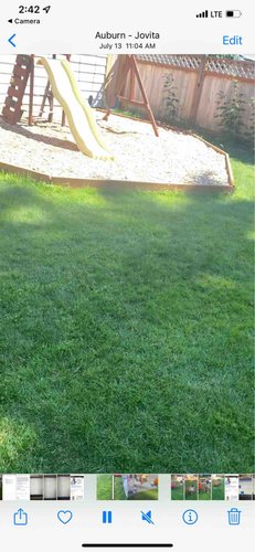 Photo of DJM Quality Daycare - Auburn, WA