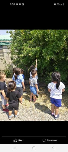 Photo of SHORTIES Preschool/Daycare Daycare - Los Banos, CA