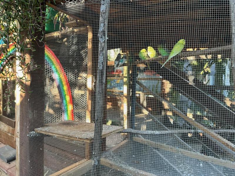 Photo of Rainforest Family Childcare - Santa Barbara, CA