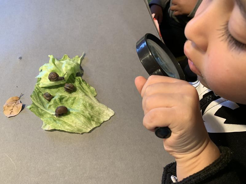 Photo of Skeyci Children Programs Daycare - Castro Valley, CA