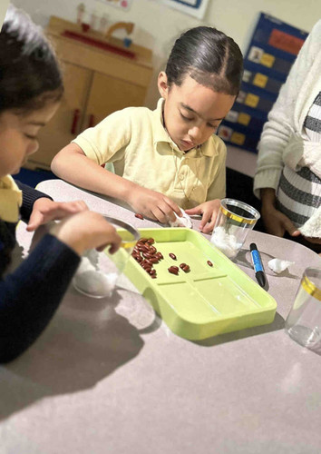 Photo of D'Jesus Day Care Inc. - Bronx, NY
