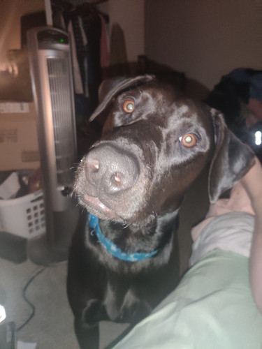 Photo of Lauren W. - North Bend, WA