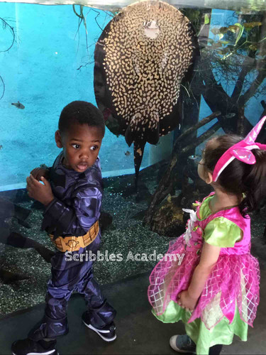 Photo of Scribbles Academy - Los Angeles, CA