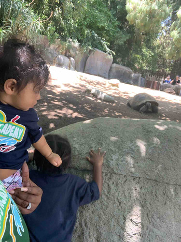 Photo of Scribbles Academy - Los Angeles, CA