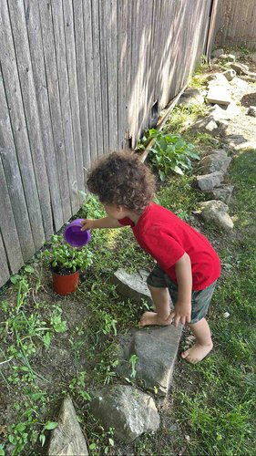 Photo of Learning And Playing - Northborough, MA