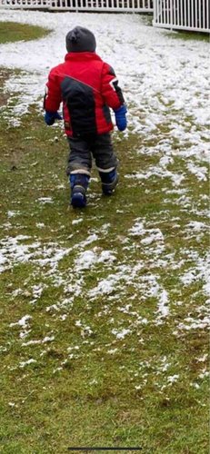 Photo of Early Emergent Spanish School - Bellevue, WA
