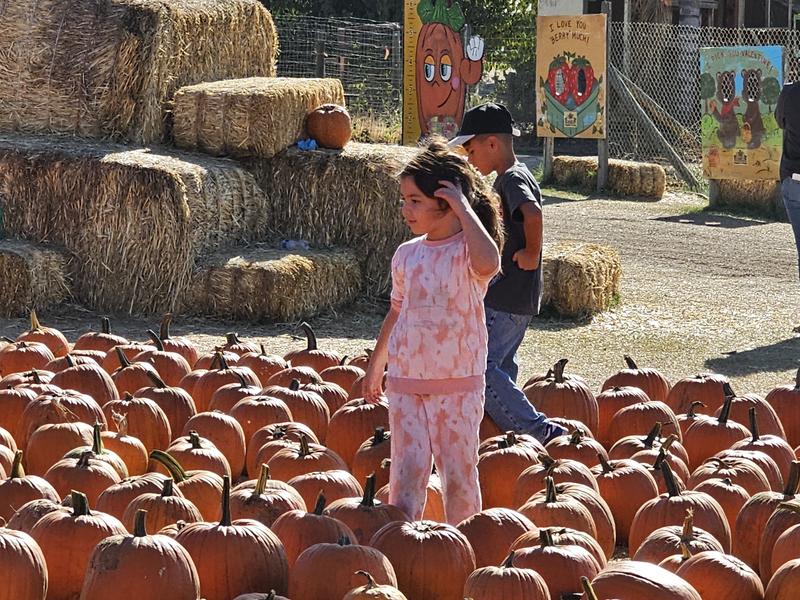 Photo of Beccas Buccaneers - Bakersfield, CA