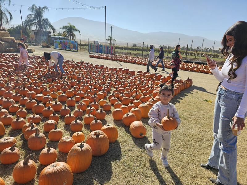 Photo of Beccas Buccaneers - Bakersfield, CA
