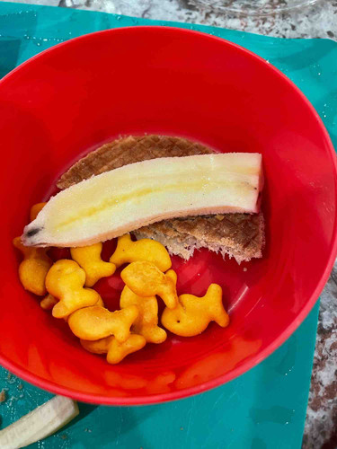 Photo of Mortazavi, Samar Family Child Care - San Diego, CA