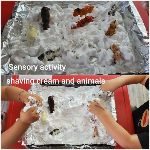 Photo of Sunland Family Childcare - Sunland, CA