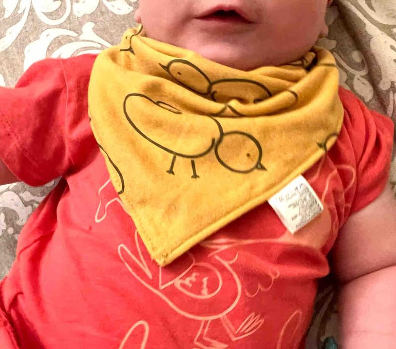 Photo of Teddy’s Bear  Daycare - Santa Rosa, CA