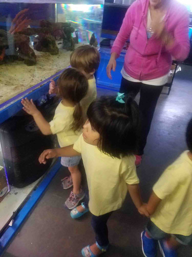 Photo of Veronica Fcc Aka Abc Learning Tree Daycare - Simi Valley, CA