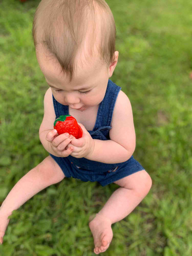 Photo of Growing Wild Daycare - Tenstrike, MN