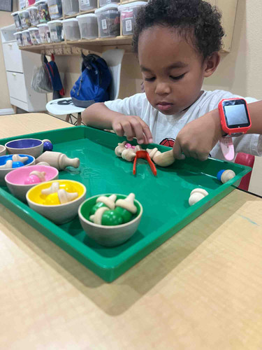 Photo of Little Lions Home Child Care Daycare - Murrieta, CA