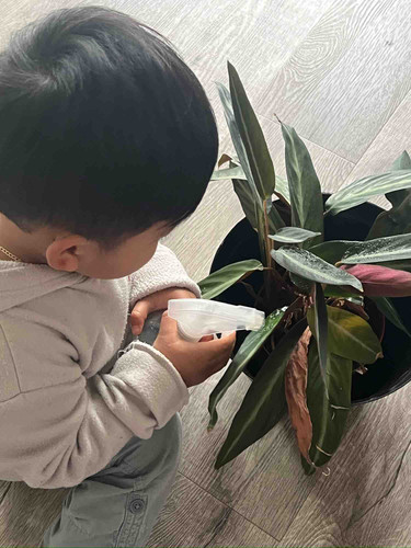 Photo of Tiny Treasure Childcare - SeaTac, WA