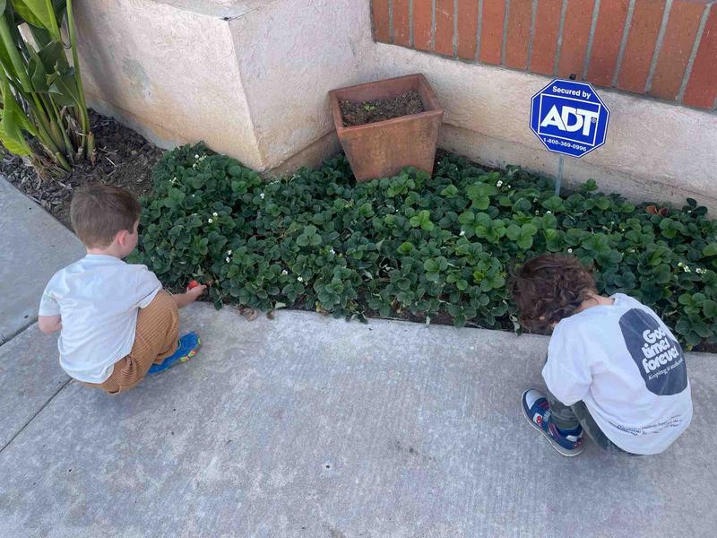 Photo of Early Advantage Family Day Care, Inc. - San Diego, CA