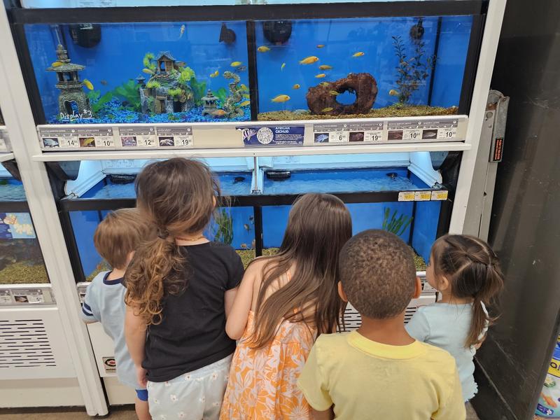 Photo of Beccas Buccaneers - Bakersfield, CA