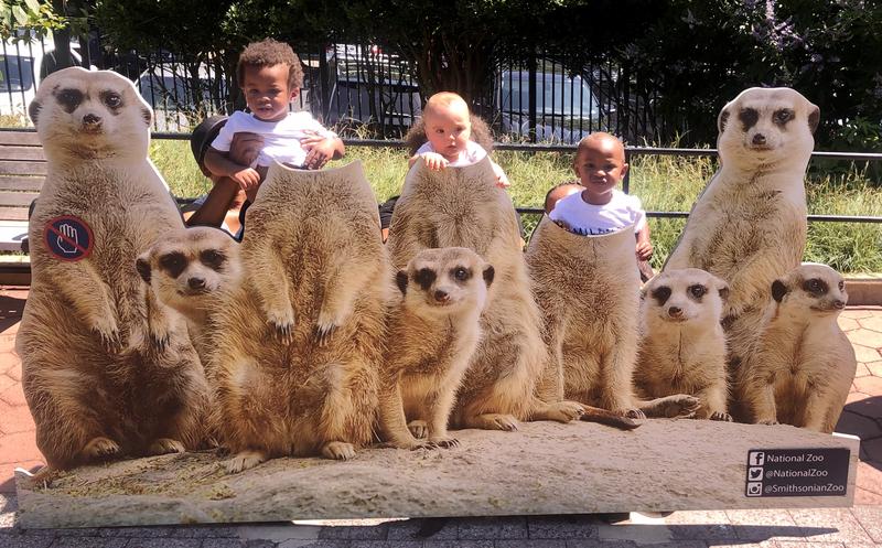 Photo of You + Me Daycare - Catonsville, MD