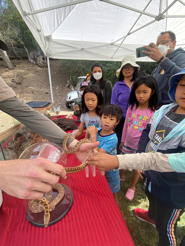Photo of 白天鹅双语学习中心日托中心 - 库比蒂诺, CA