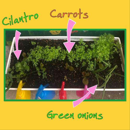 Photo of Kids Dreams Childcare Daycare - San Francisco, CA