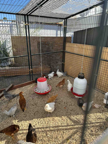 Photo of Yessenhias Daycare - Chula Vista, CA