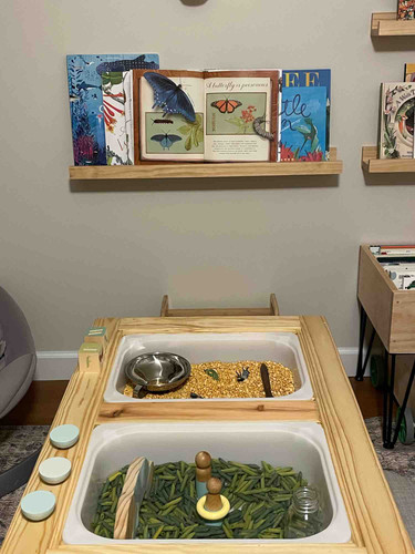 Photo of Larks At Play (LAP)