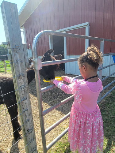 Photo of Ruth S. - Mequon, WI