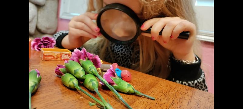 Photo of The Wild Ones: A Small Home Daycare - Alta Loma, CA