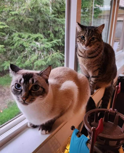 Photo of Gratitude Gardens Childcare - Corvallis, OR