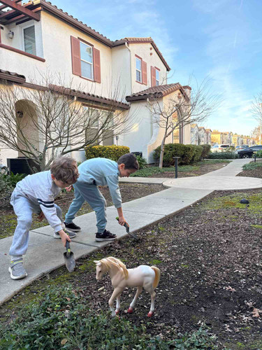 Photo of The Nest At Elk Grove - Elk Grove, CA