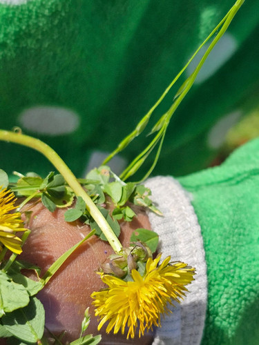 Photo of Wonder World Preschool And Daycare - Los Angeles, CA