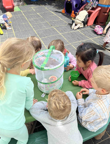 Photo of Wonderland Daycare