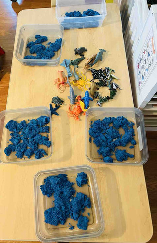 Photo of Francis Home Daycare - San Jose, CA