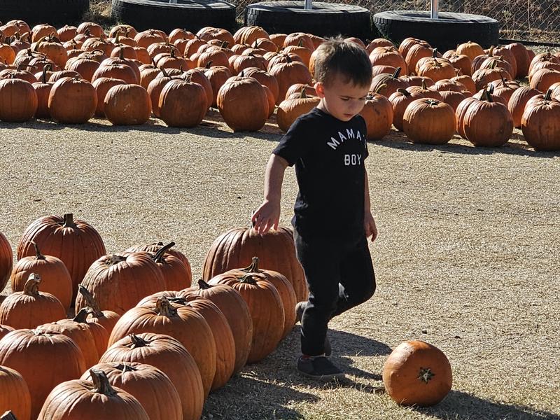 Photo of Beccas Buccaneers - Bakersfield, CA