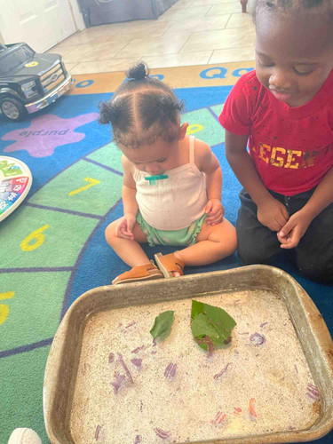 Photo of Itty Bitty Academy - Houston, TX