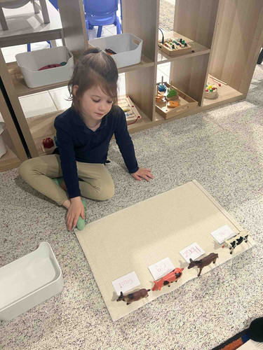 Photo of Amber Meadows Montessori Daycare