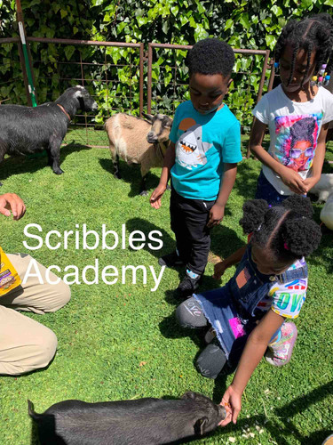 Photo of Scribbles Academy - Los Angeles, CA