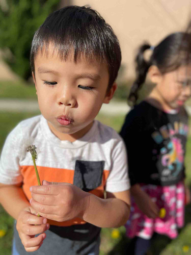 Photo of Busy Little Bees Daycare - Long Beach, CA