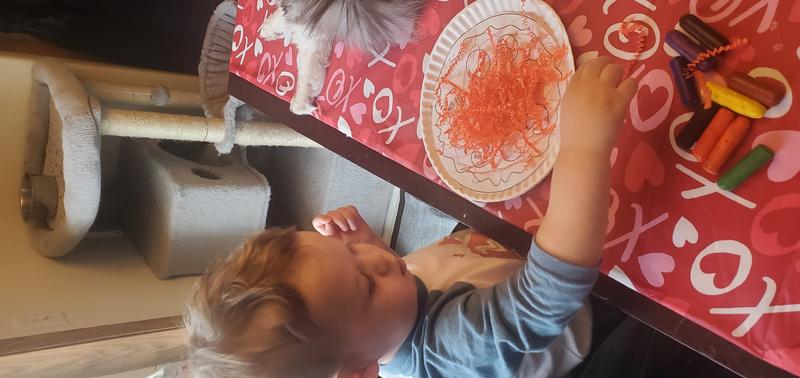 Photo of Lisa's Little Angel's Daycare & Preschool Daycare - Vancouver, WA