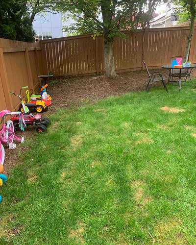 Photo of LULU’S Home Daycare - Fedralway, WA
