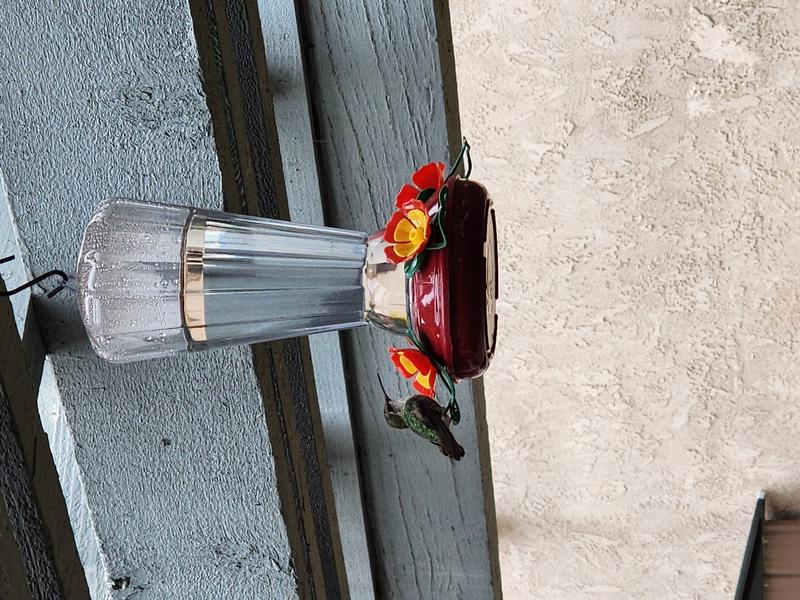 Photo of Mama Bear's Childcare - San Diego, CA