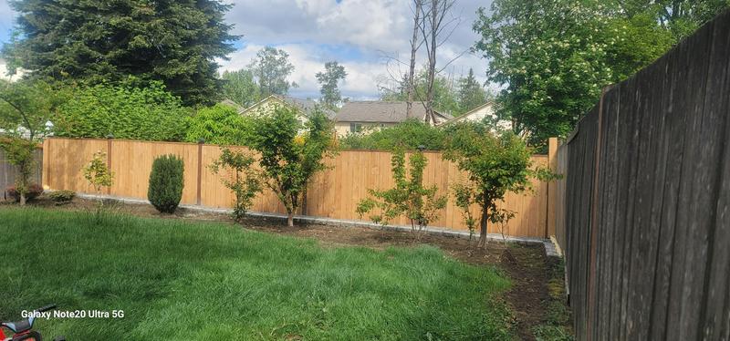 Photo of Honeybear Childcare - Everett, WA