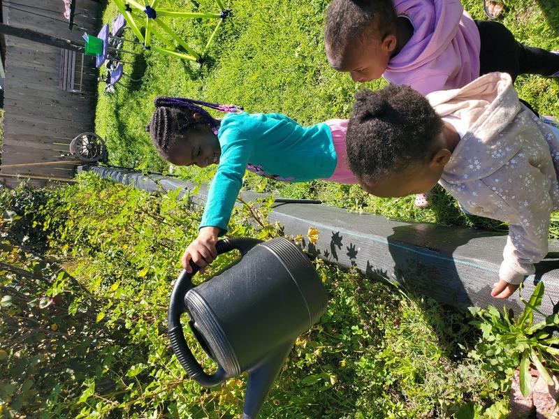 Photo of Camino Al Futuro Early Bilingual Academy - Stockton, CA