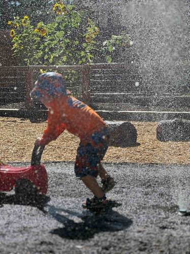 Photo of Little Sparrows Childcare - Colorado Springs, CO